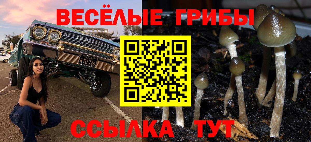 Великие Луки  Псилоцибиновые грибы Magic Shrooms  Вход с VPN 